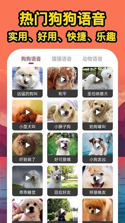 人人猫狗翻译交流器手机版下载,人人猫狗翻译交流器,翻译app,宠物app